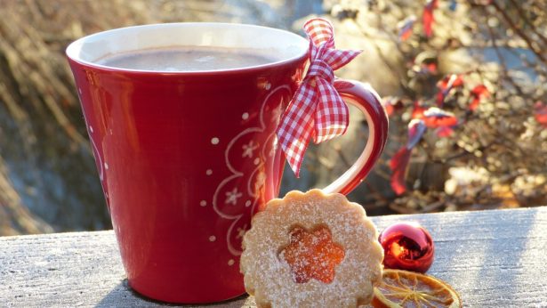 Cup Red Cookie Hoarfrost Wintry  - silviarita / Pixabay